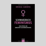 《黑皮书女权主义：实现平等的神话》